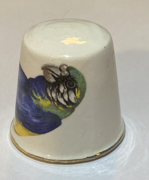 Blue & Yellow Macaw Parrot Bird Porcelain Thimble - Thimblelina.com